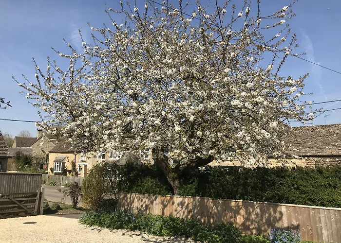 Cherry Tree Cottage In Idyllic Cotswold Village