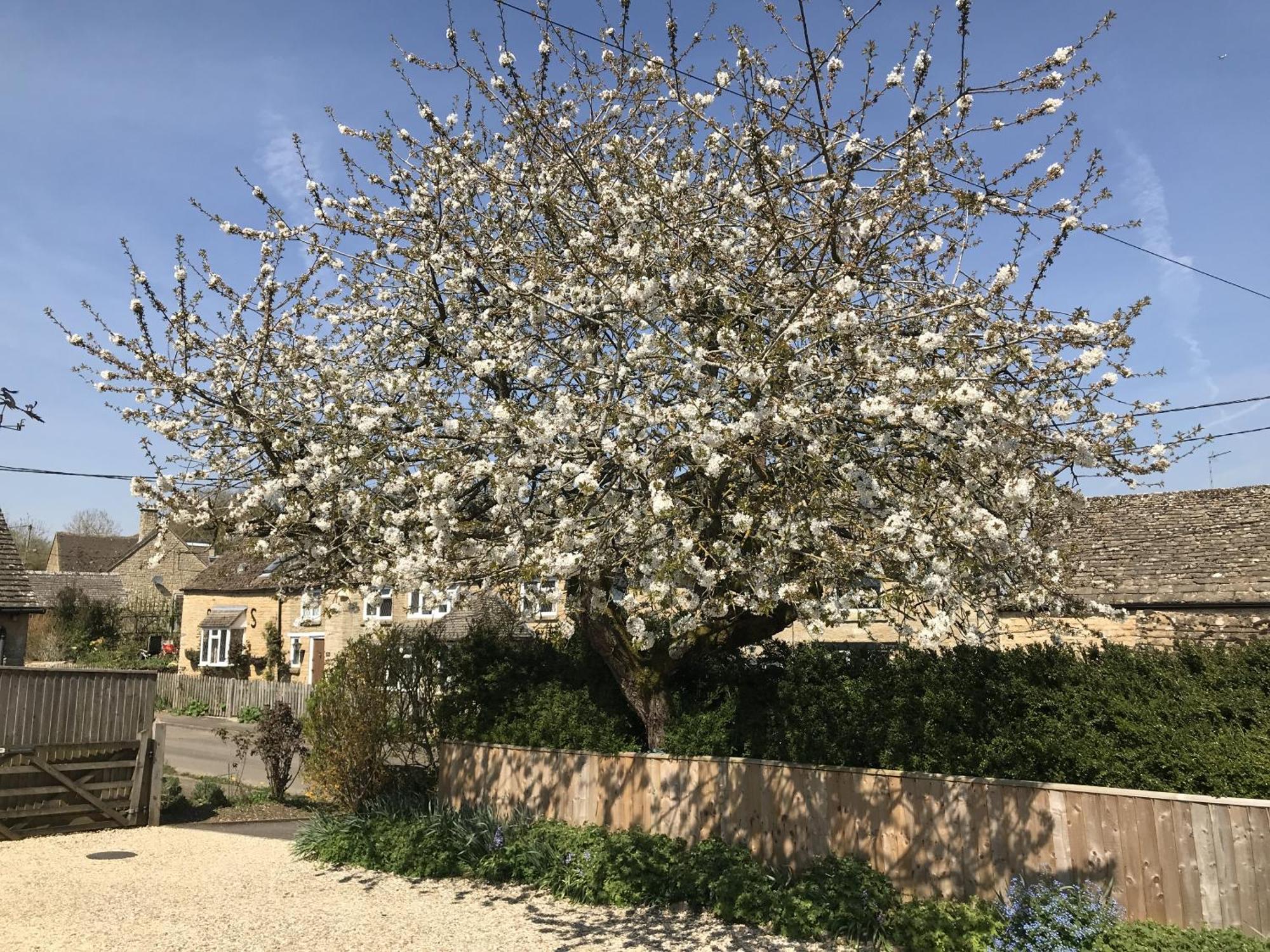 Дом отдыха Cherry Tree In Idyllic Cotswold Village Чиппинг-Нортон